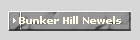 Bunker Hill Newels