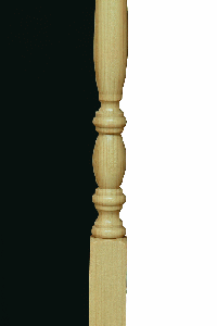 Poplar
