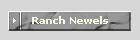 Ranch Newels
