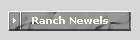 Ranch Newels