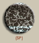 SP Silver Vein