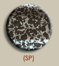 Silver Vein
