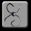 Scroll Series