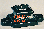 1816 or 1817 Winged Shoe