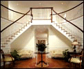 2300_savannah1_small
