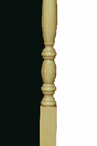 Poplar