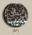 SP Silver Vein