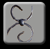 Scroll Series