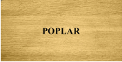 Poplar