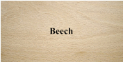 Beech