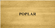 Poplar